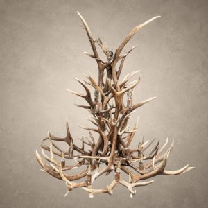 Salish elk and mule deer antler chandelier lit with candelabra bulbs, layered elk and mule deer antler in a tall western silhouette
