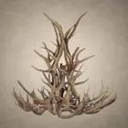 Salish elk and mule deer antler chandelier unlit, showing the woven elk and mule deer antler structure