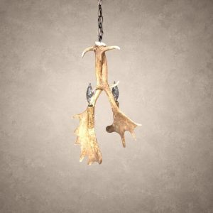 Heron fallow deer antler pendant light with two candle-style lights and palmated fallow antler hanging from an iron chain