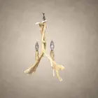 Side view of the Heron pendant showing two fallow deer antlers twisted together around two candle sockets