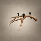 Mule deer antler candelabra – Large Deer 3 Candle: a natural deer antler with three dark candle cups set along the beam