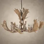 Glacier single tier fallow deer antler chandelier with wide palmated fallow antlers spreading around candle-style bulbs, hanging from an iron chain