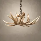 Single Tier Fawn whitetail antler chandelier from the side, showing the spread of natural whitetail antler tines