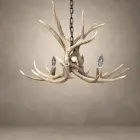 Osprey single tier mule deer antler chandelier with four candle-style lights hanging from a black iron chain, front view