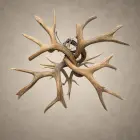 Top view of the Osprey single tier mule deer antler chandelier showing the crossed mule deer antlers radiating from the center