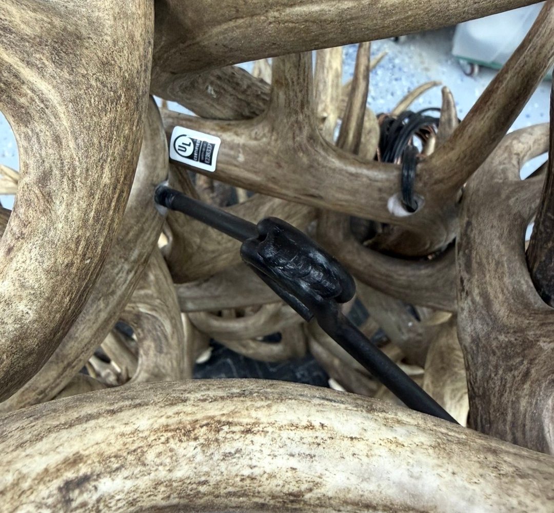 UL Certified label showing File E238337 on a real antler chandelier beside the wiring and chain loop